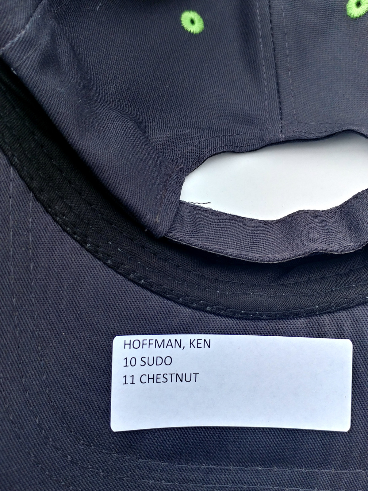 Joey Chestnut Ken Hoffman judges hat