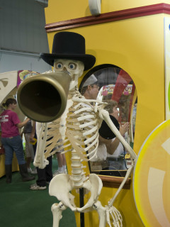 The Bone Zone