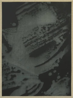 Gray Contemporary presents Aimée Terburg: Both Sides Now