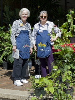 Friends of Spring Branch Memorial Library presents Plant and Book Festival