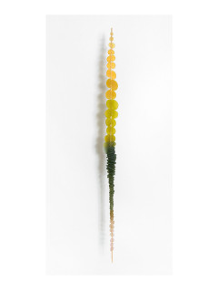 Conduit Gallery presents Ellen George: "April" opening reception
