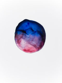 Capsule Gallery presents Caitlin G. McCollom: "Fruits of Solitude" opening reception