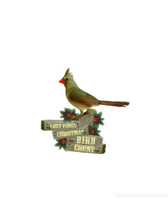 Hyat Regency Lost Pines Resort & Spa presents Lost Pines Christmas Bird Count