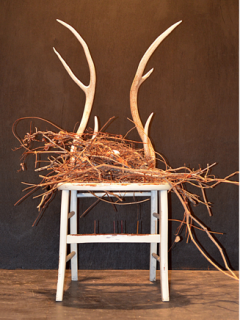 Jung Center art opening reception: Journey Through the Trees and Beyond by Christina Karll