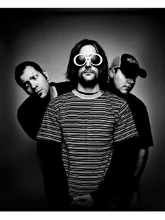 The Nirvana Experience