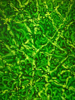 Pond_Sebastian Montes_Emergent Visions_G Gallery_2015