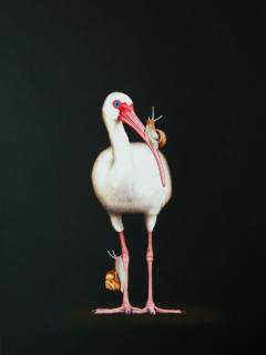 Isabelle du Toit: Truce