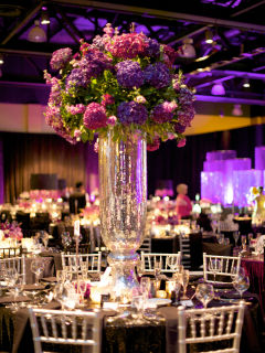 American Heart Association presents 2017 Montgomery County Heart Ball