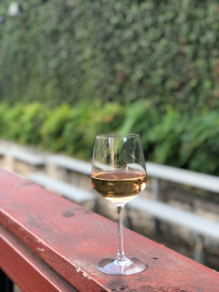 Rosé Day