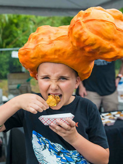 Wing-A-Rama Houston Giant Chicken Wing Festival
