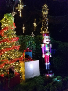 Dallas By Chocolate Tours Presents Christmas Lights Chocolate