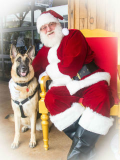Jingle Bell Bark and Brew