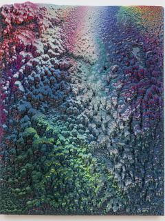 Dylan Gebbia-Richards exhibit opening reception