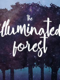 <i>The Illuminated Forest</i>