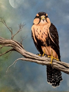 Feathered Friends Art