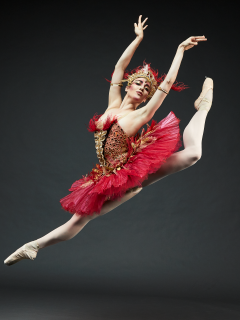 Texas Ballet Theater, Firebird