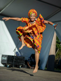 Houston African Festival