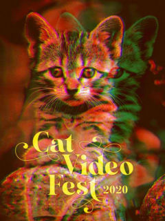 Catvideofest 2020