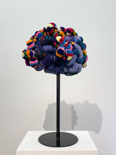 Sicardi Gallery presents Sandra Monterroso: "Threads of Memory"