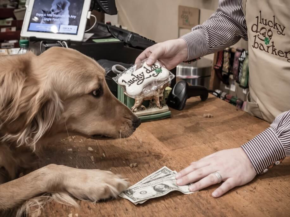Lucky Dog Barkery