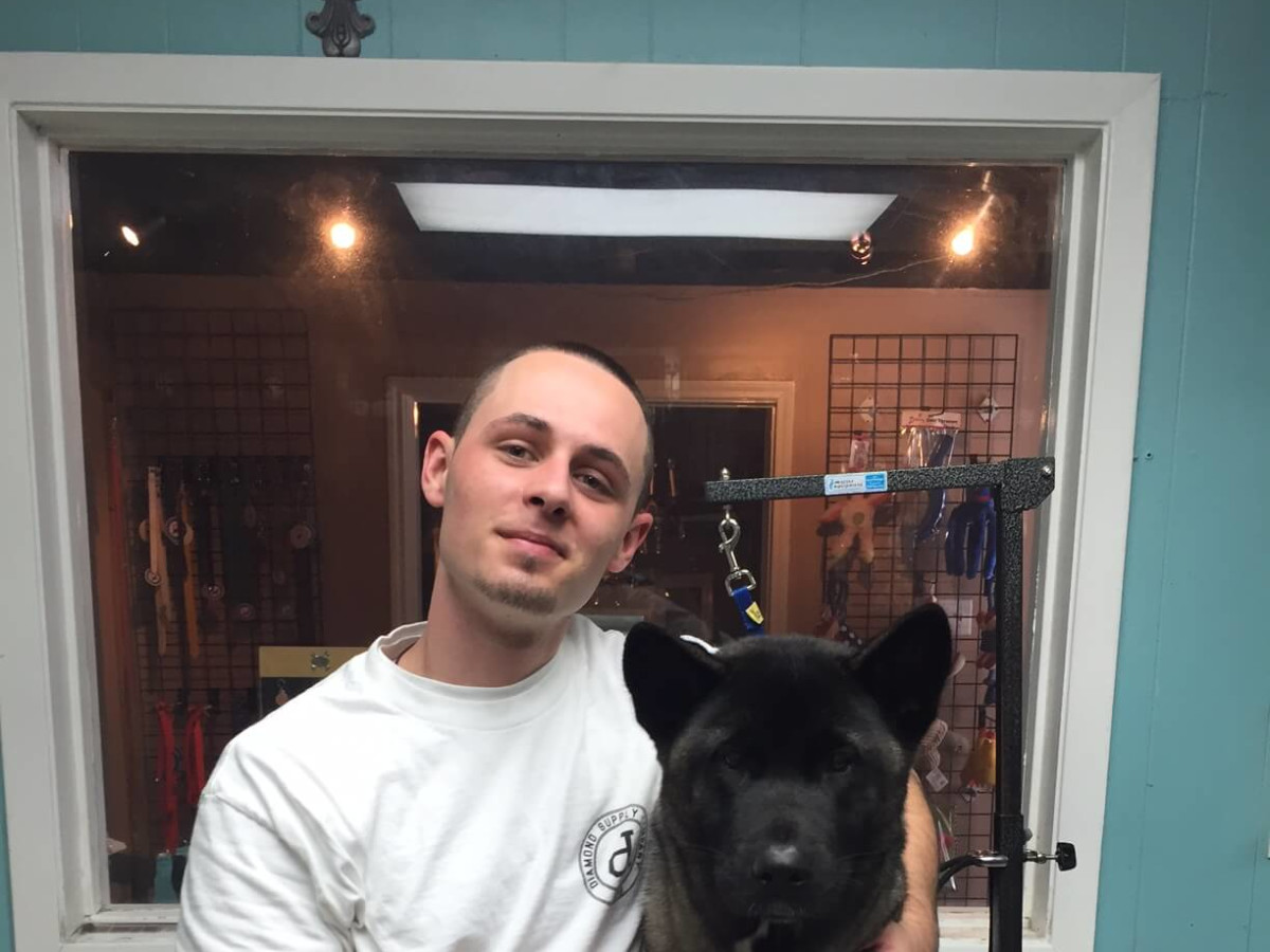 Drake S Akita Diamond Gets Gold Standard Treatment At Tony Pet