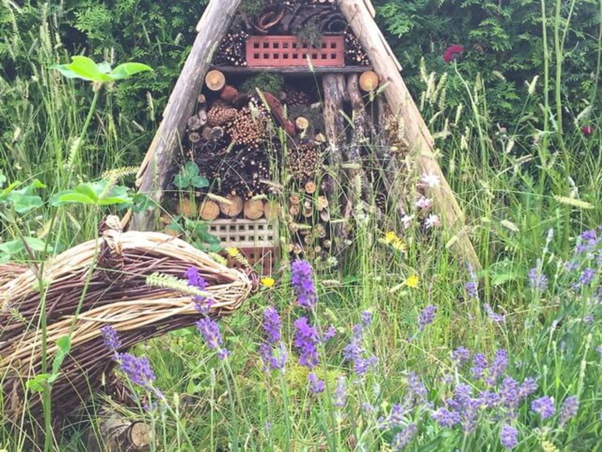 10 easy ways to create a rustic garden in any space ...