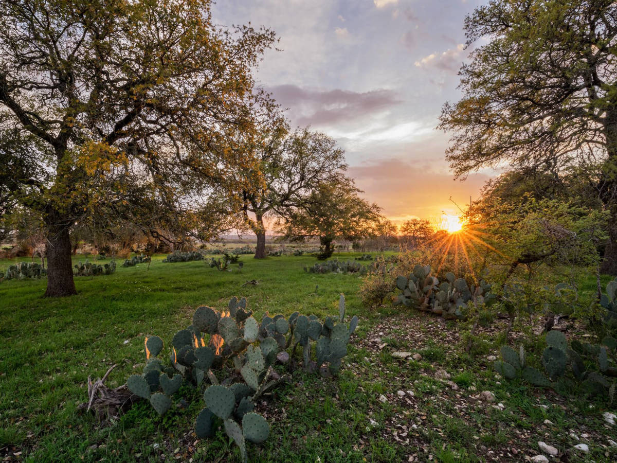 Orchard Ridge housing development Liberty Hill country sunset
