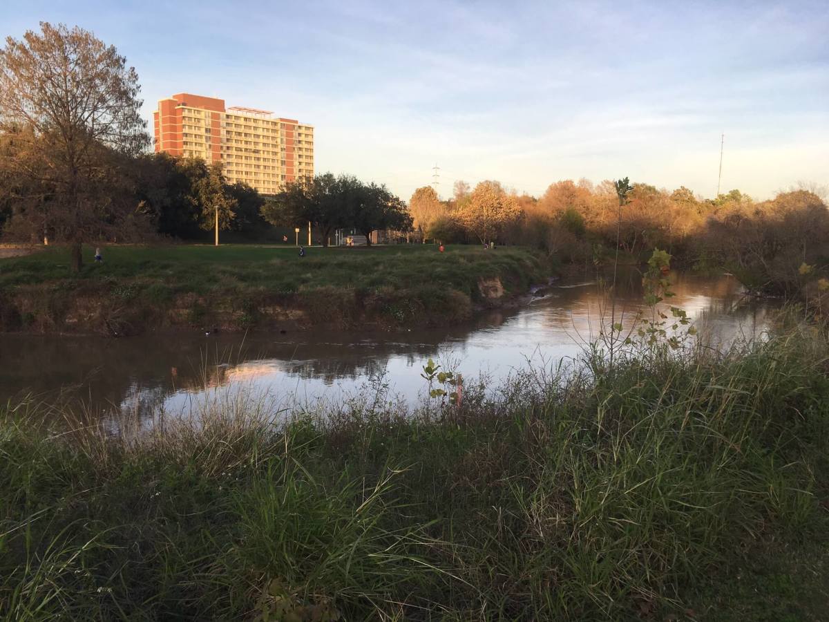 Buffalo Bayou Park pristine scene