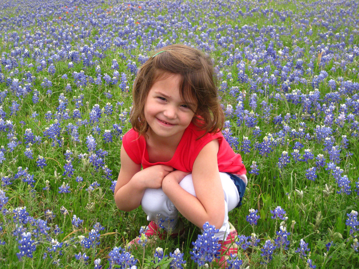 Bluebonnets Rising Where To Go In Brenham For A Weekend Of