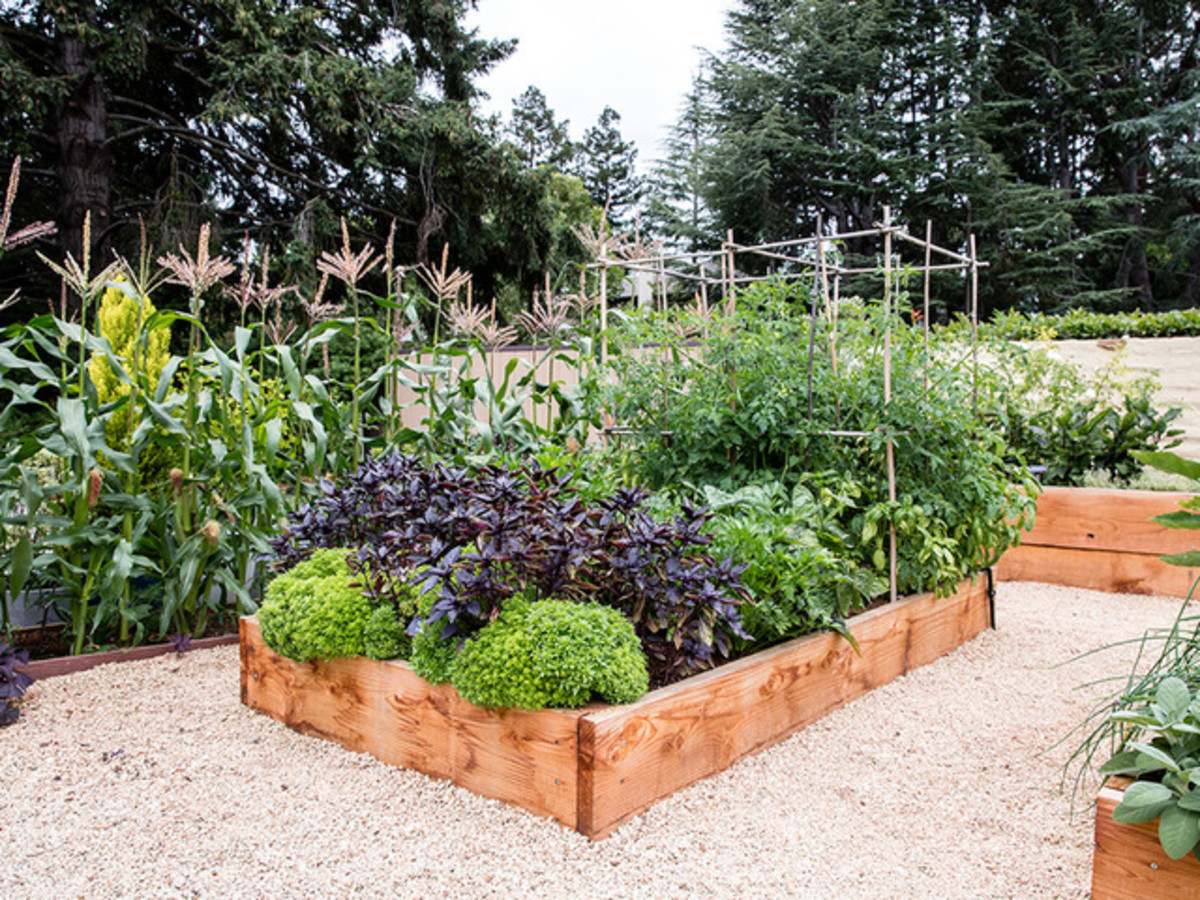 6 Expert Ways To Save On Your Garden Renovation Culturemap