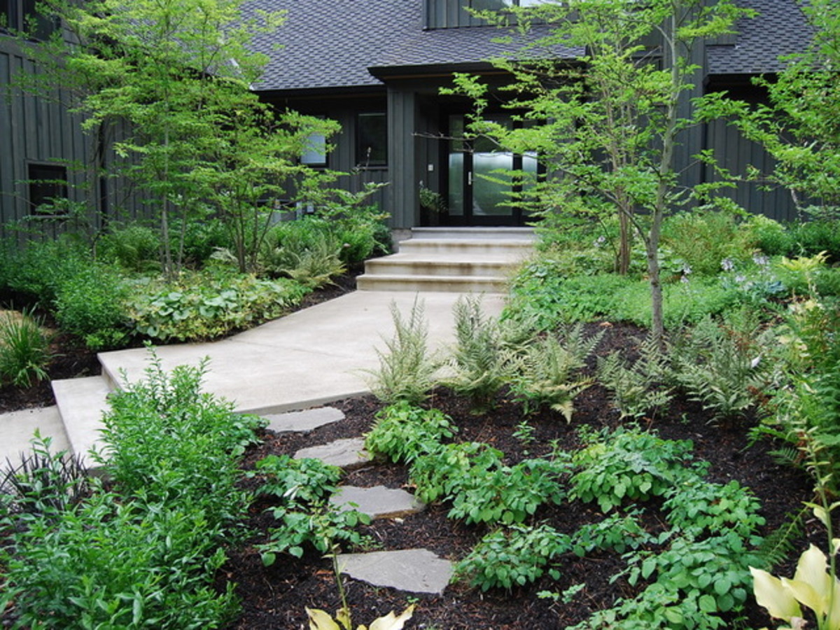 6 Expert Ways To Save On Your Garden Renovation Culturemap