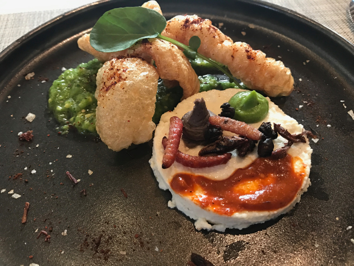 Xochi cheese with insects