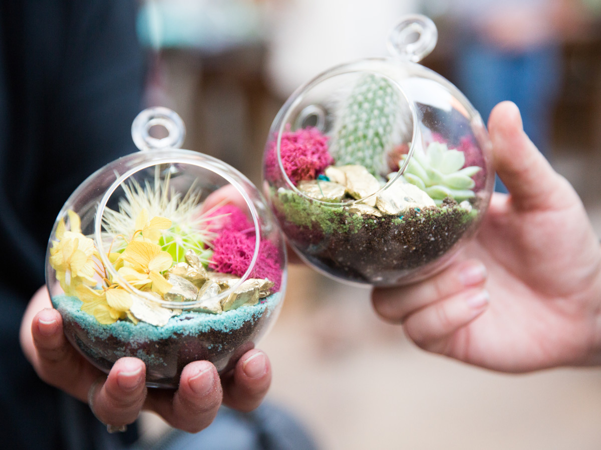 Jade & Clover mini terrariums