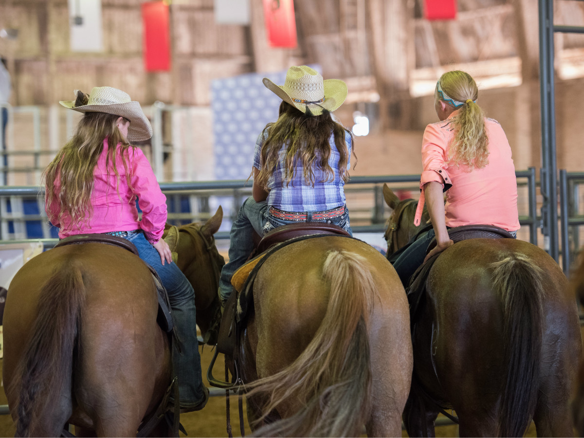 State Fair horse showing