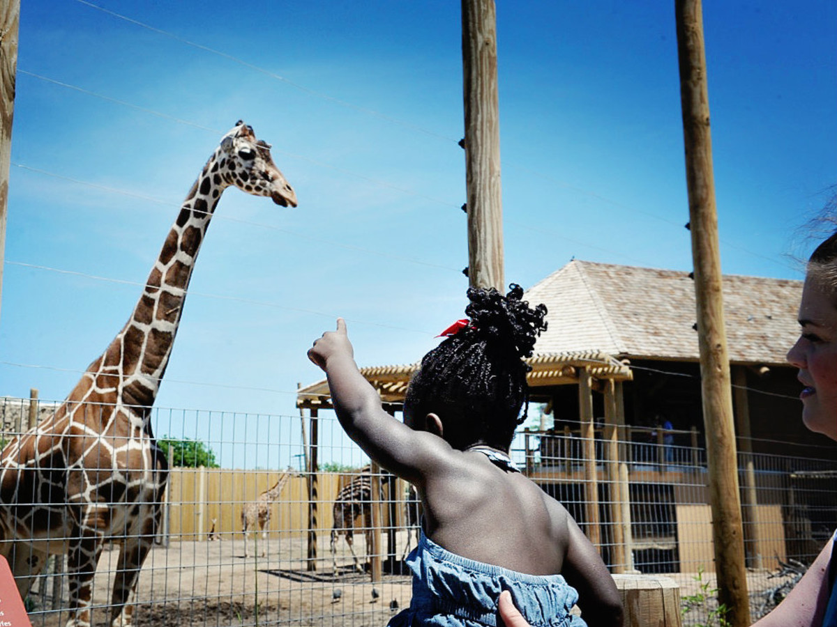 Abilene Zoo