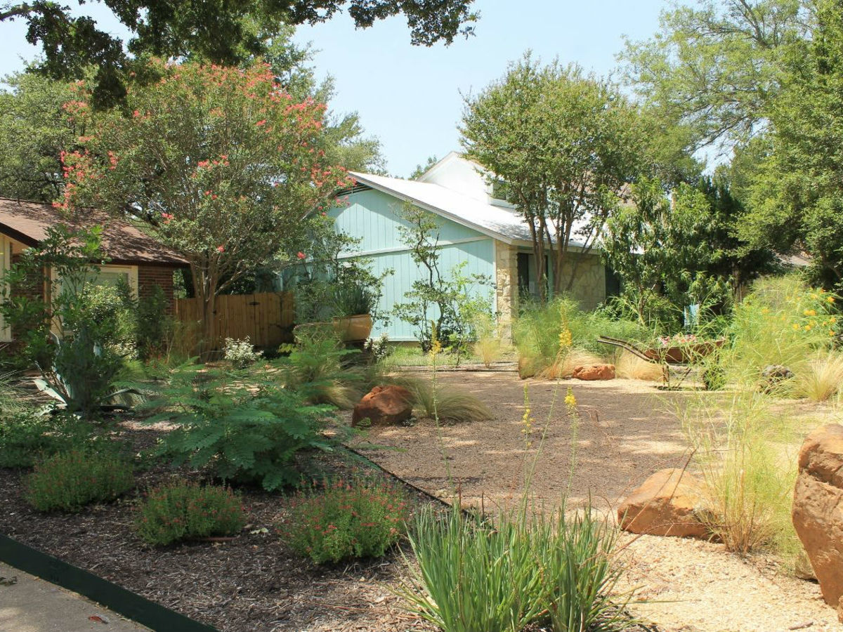4 Native Plants Ready To Grow In Your Austin Garden Right Now 4 native plants ready to grow in your Austin garden right now - 4 Native Plants Ready To Grow In Your Austin Garden Right Now