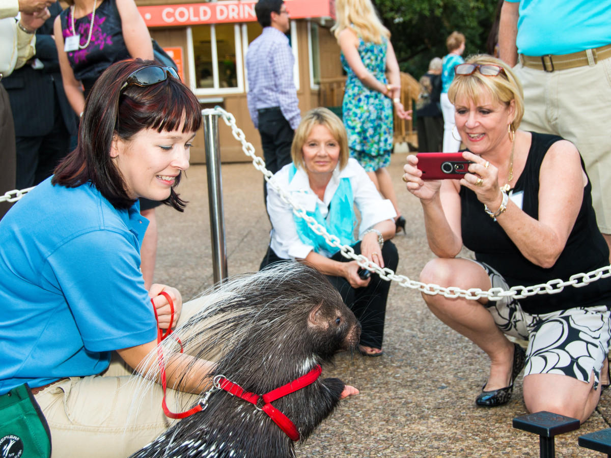 Houston Zoo, Under Sea Dinner, Feb. 2016