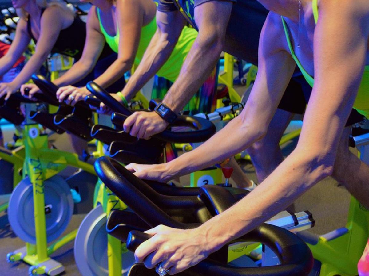 Zyn22 cycle studio