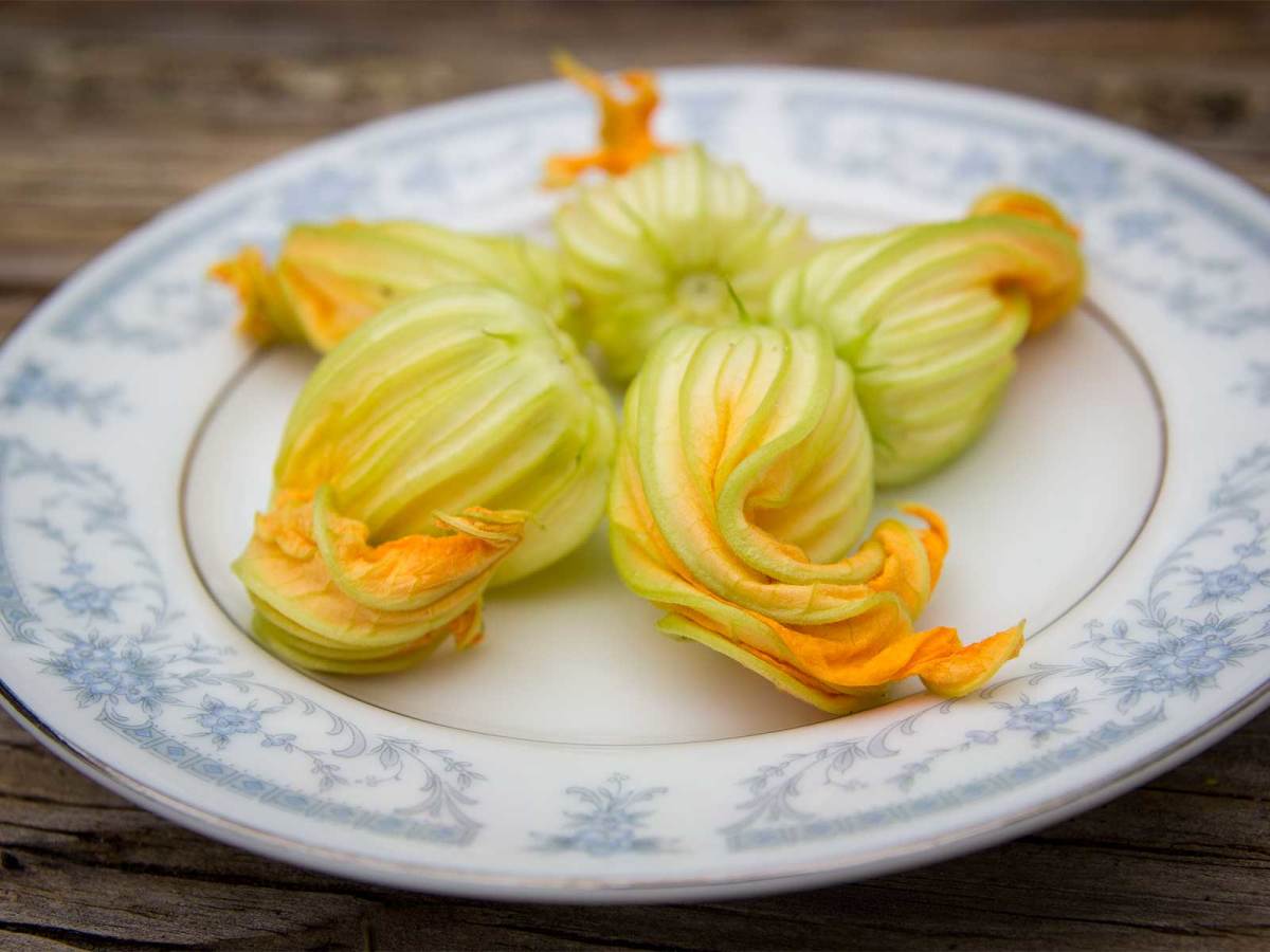 Texas Farmer Shares Secret To Growing Summer Veggies Through