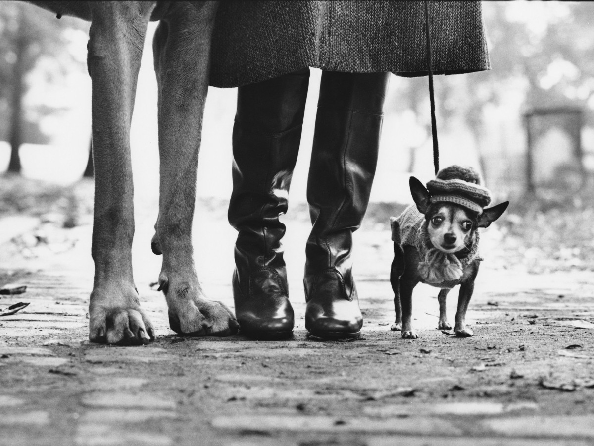 Elliott Erwitt