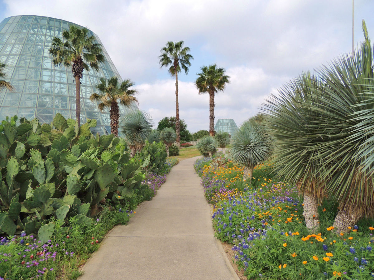 Here Are The Top 5 Things To Do In San Antonio This Weekend