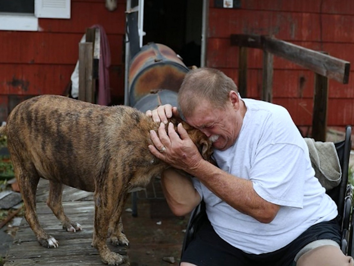 Houston Spca Reunites Owners With Pets Through Facial Recognition