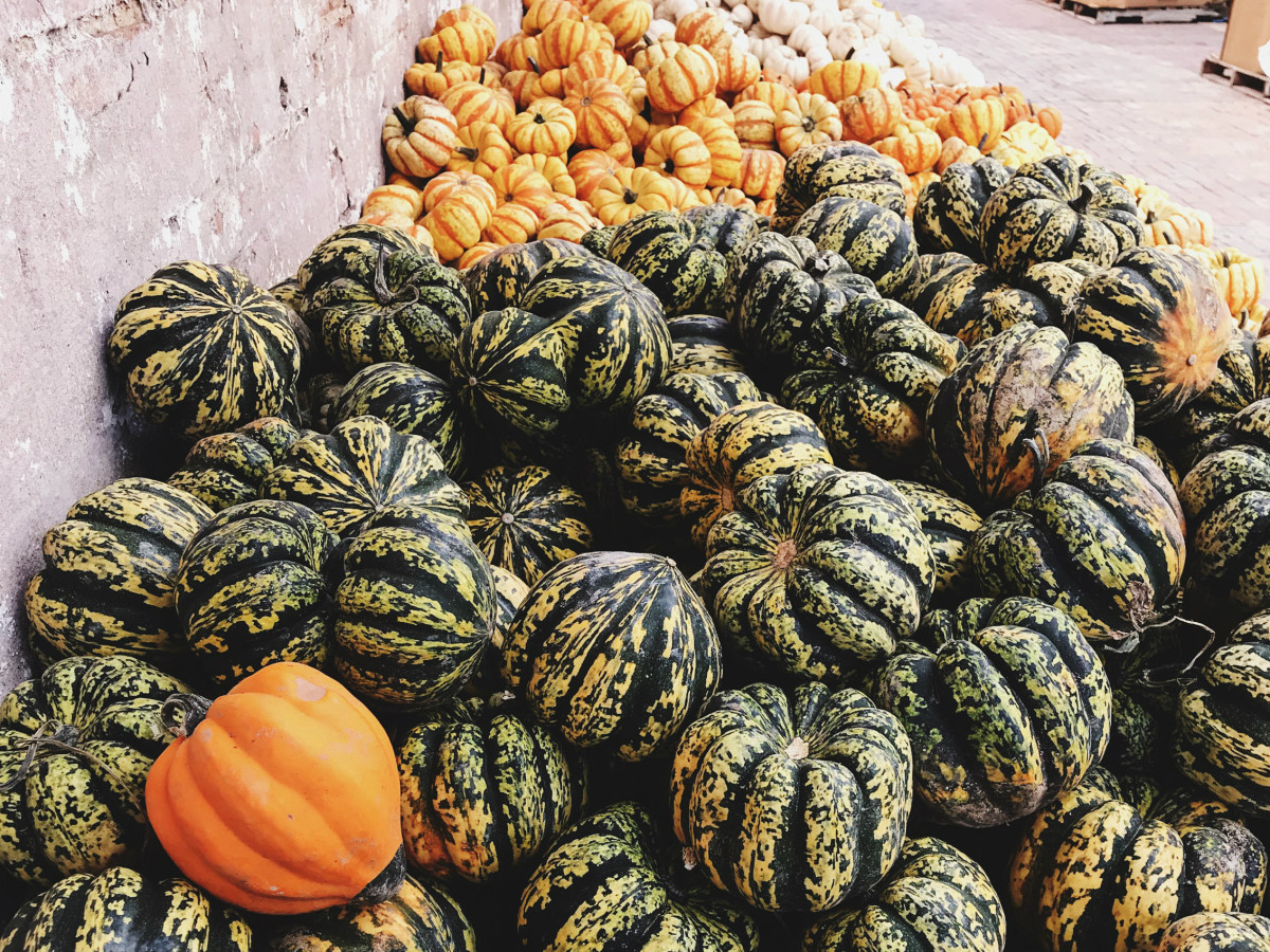 Pumpkins and gourds