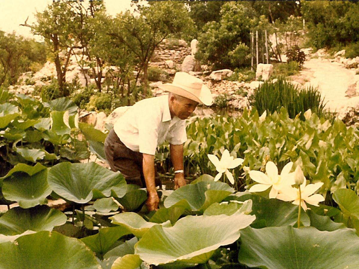 Uncover This Tranquil Japanese Garden Hidden In The Heart Of