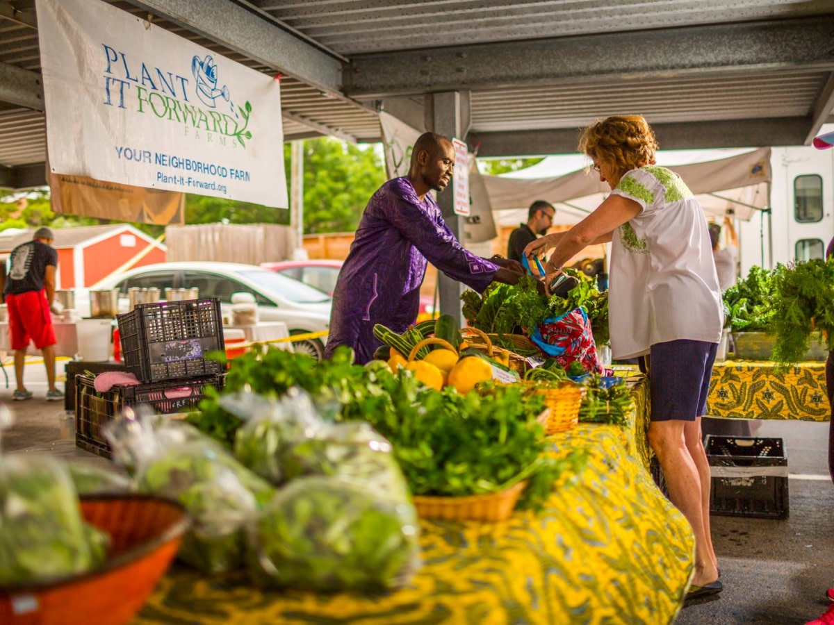 Houston, Plant it Forward Farms, November 2017