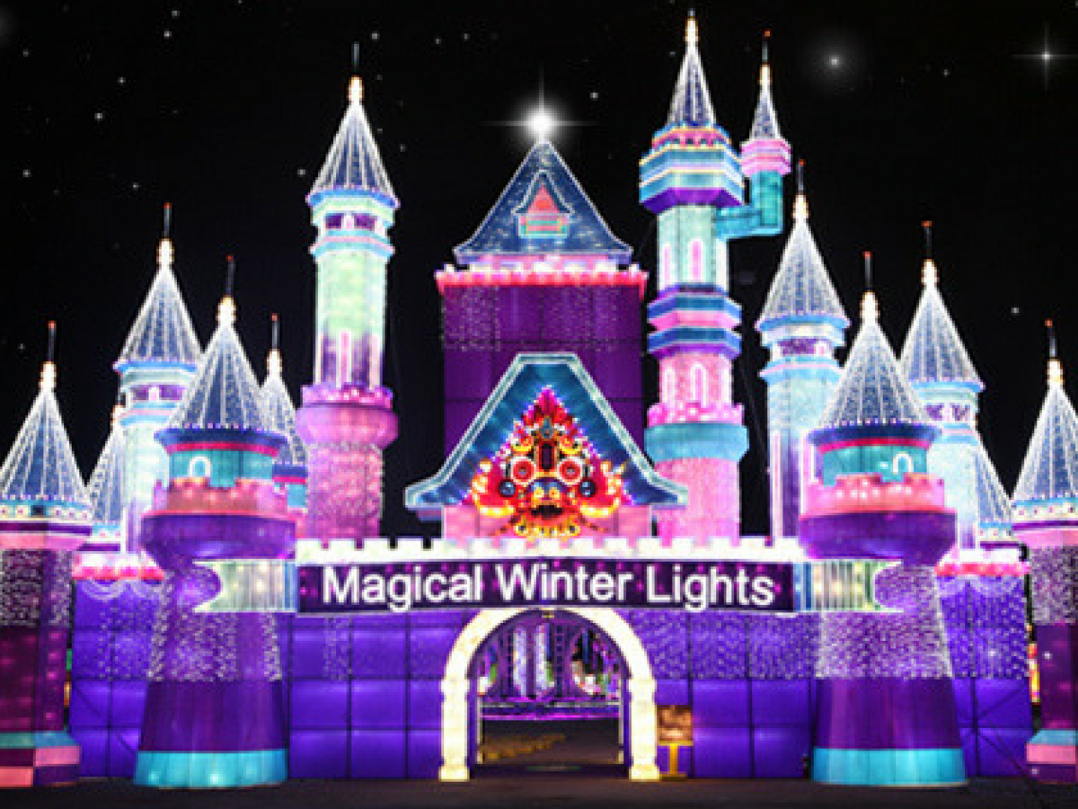 Magical Winter Lights