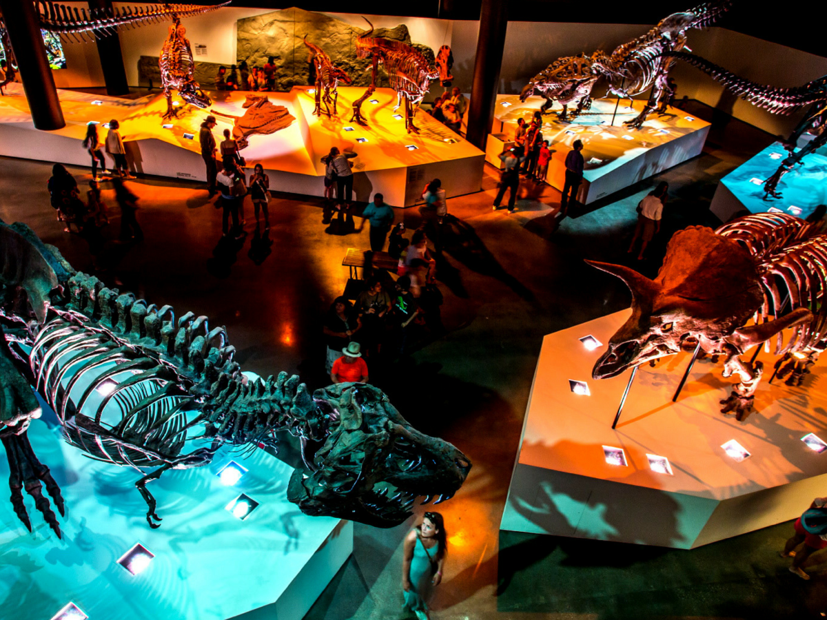 Houston Museum Pass