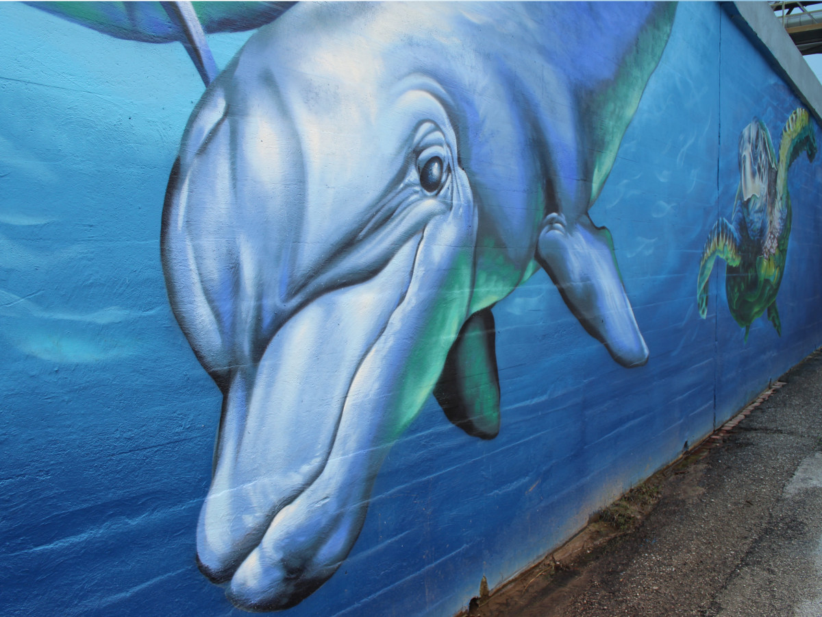 Finding Eado New Mural Makes A Splash Downtown Culturemap Houston