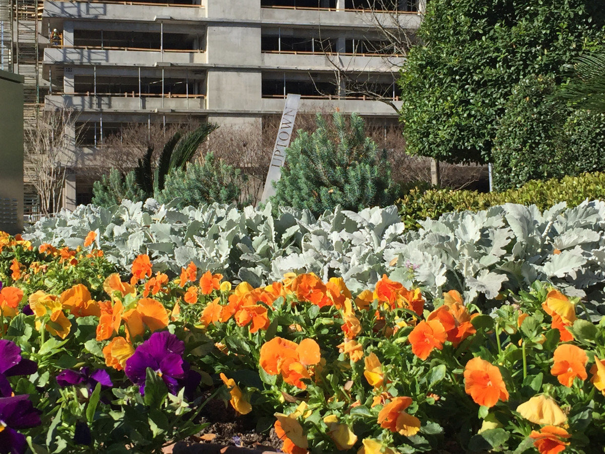 Get a historical glimpse at Uptown Dallas through the years