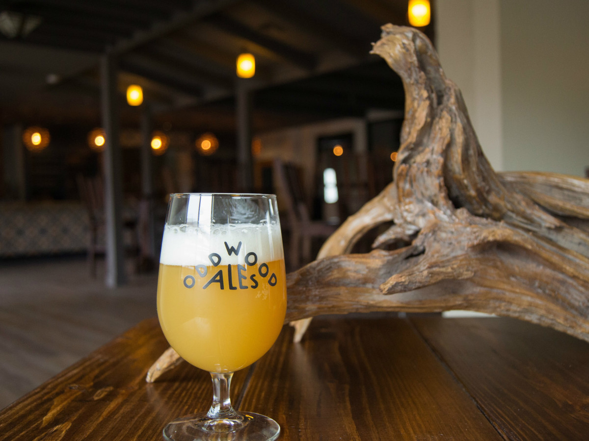Oddwood Ales ATX beer
